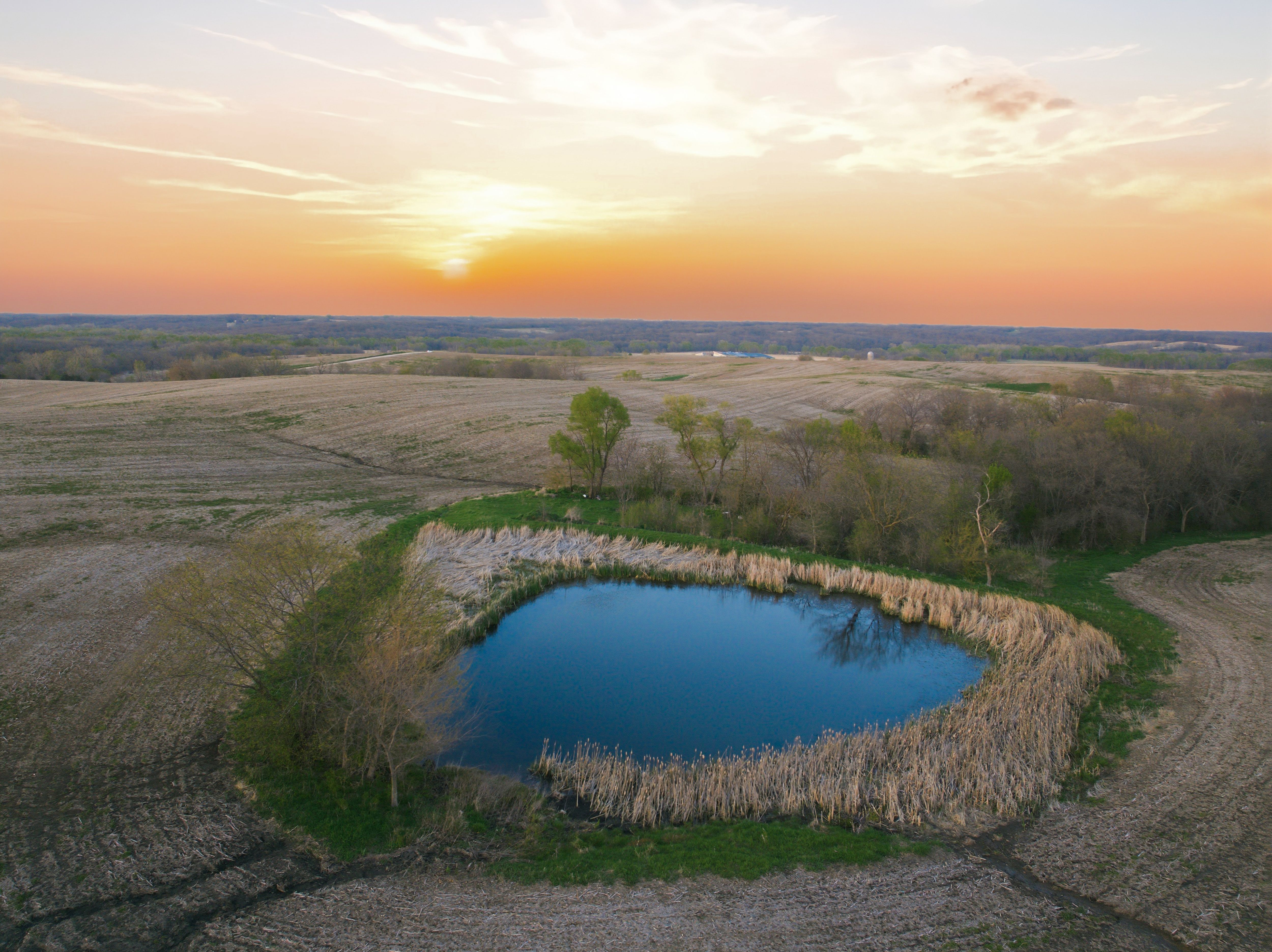 Listing Photo: Lovilia Land Drone-8